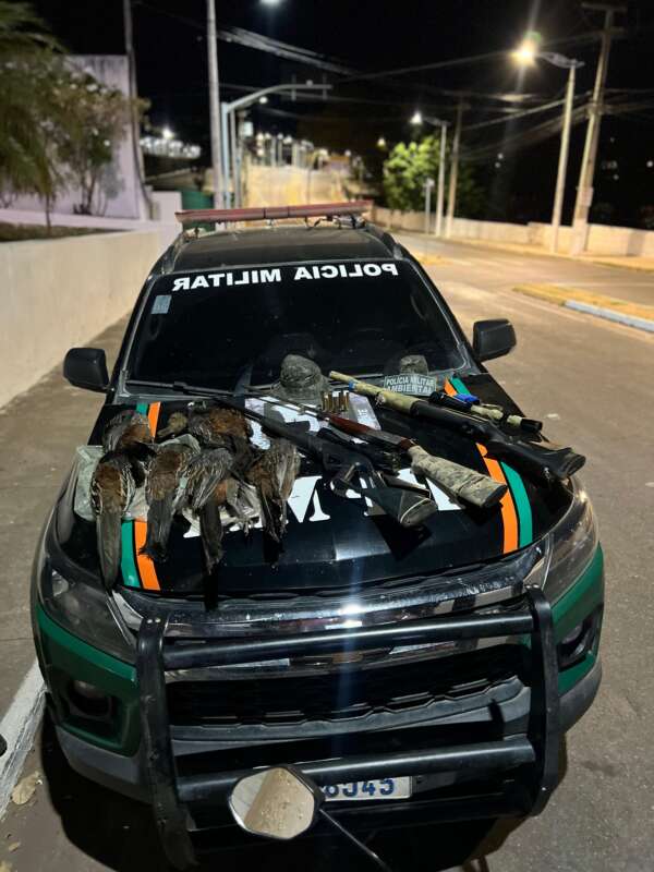 Pmce Captura Trio E Apreende Armas E Aves Amea Adas De Extin O Em